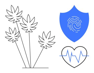 Cannabis leaves, biometric shield with fingerprint, and heart rate symbol. Ideal for healthcare, security, medical studies, data privacy, biotechnology wellness modern health solutions. A simple