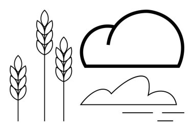 Wheat stalks and stylized clouds in minimal line art. Ideal for agriculture, sustainability, environment, weather, nature, growth, and simplicity themes. Clean and simple flat metaphor