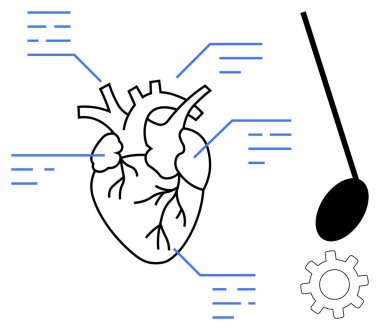 Mavi çizgileri olan anatomik kalp veri temsilini, mekaniğin sembolü olarak teçhizatı ve fizyoloji için sarkacı simgeler. Tıp, sağlık, anatomi, yenilik, araştırma, teşhis için ideal