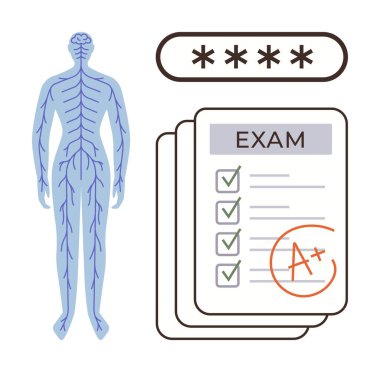 İnsan sinir sistemi diyagramı, şifre güvenlik çubuğu ve notları A olan test sonuçları. Eğitim, biyoloji, eğitim, başarı, sağlık hizmetleri için ideal, güvenlik basitliğini sınıyor. Benzersiz daire