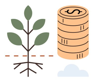 Yeşil yapraklı ve görünen kökleri olan ağaç yığılmış paraların yanında zenginliği temsil eden büyümeyi simgeliyor. Sürdürülebilirlik, yatırım, finans, ekoloji, büyüme, tasarruf, ekonomik kavramlar için ideal