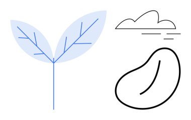 Minimalist tasarımda iki yaprak, tohum ve bulut elementleriyle filizlenen bitki. Büyüme, tarım, sürdürülebilirlik, doğa, ekoloji ekosistemi için idealdir. Temiz, düz metafor