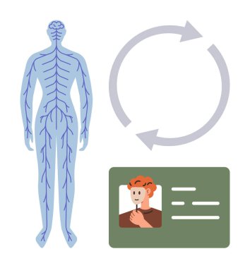 İnsan sinir sistemi diyagramı, profil kimlik kartı ve döngüsel okların yanında. Kimlik tespiti, tıbbi teşhisler, sağlık sistemleri, biyoloji çalışmaları, veri akışı, kimlik bilgileri için ideal