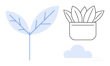 Bir gövde üzerinde narin bitki yaprakları ve bir bulutun yanında soyut yaprakları olan bir saksı bitkisi. Çevre, bahçıvanlık, sürdürülebilirlik, büyüme, doğa, ekoloji, refah için idealdir. Basit düz metafor