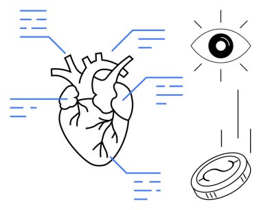Tıbbi notlarla etiketlenmiş anatomik kalp, gözlem önerisi açık göz ve değeri veya yatırımı simgeleyen madeni para. Sağlık, bilim, araştırma, finans, eğitim ve anatomi için ideal
