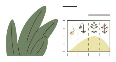 Grafikler, tohumdan filizlenmeye büyük yeşil yaprakların olduğu aşamaları gösteriyor. Biyoloji, tarım, eğitim, çevre, sürdürülebilirlik, bahçıvanlık ve araştırma için ideal. En düşük düz