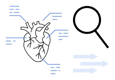 Detaylı kalp diyagramı, veri çağrılarıyla etiketlenmiş, büyüteç analizi simgeliyor, ve akışı temsil eden oklar. Sağlık, teşhis, araştırma, eğitim, kardiyoloji ve bilgi için ideal