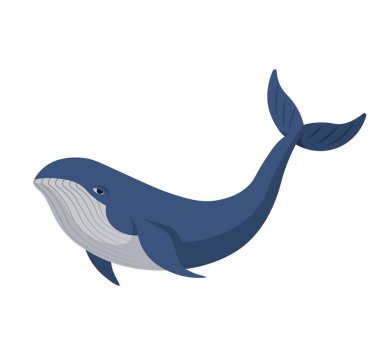 Mavi balina ikonu. Deniz biyolojisi, deniz yaşamı, yaban hayatı koruma, okyanus ekosistemleri, çevresel farkındalık, yenilenebilir kaynaklar. Mavi balina profil görünümünde yüzüyor. Deniz biyolojisi deniz hayatı kavramı