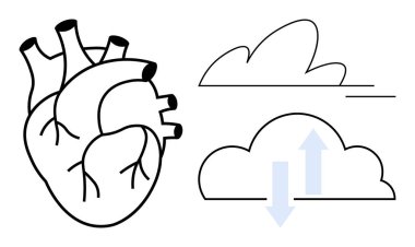 Bulutların yanında akışı gösteren oklarla anatomik kalp tasarımı. Sağlık, kardiyoloji, çevre, veri transferi, bağlantı, refah ve sürdürülebilirlik temaları için idealdir. Basit düz