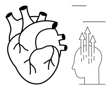 İnsan kalbi konsepti. Anatomik kalp bir kafa ve oklarla eşleştirilmiş insan duyguları ve düşünce süreci. Kalp sağlığı, büyüme ve bağlılık. Eğitim, sağlık ve farkındalık için ideal