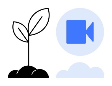 Sürdürülebilirlik, dijital iletişim, teknoloji gelişimi, çevresel farkındalık, büyüme, medya. Modern temiz bir düzende büyüyen bir bitki ve video ikonu. Sürdürülebilirlik ve dijital