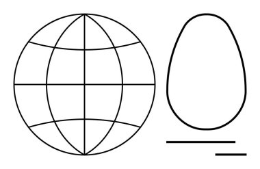 Küresel bağlantı, tasarım kavramları, soyut ikonlar, dijital ağlar, yaratıcı planlar, kurumsal markalaşma. Şebeke ile dünya ana hatları ve çizgilerle soyut oval şekiller. Genel bağlantı