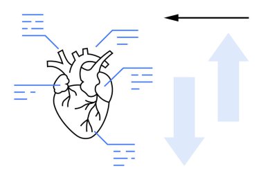 İnsan kalp diyagramı. Oklu kalp yapısı kan dolaşımı ve notlu veri noktaları. Tıp eğitimi için kalp görselleştirmesi, araştırma, sağlık, anatomi, teşhis