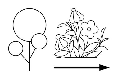 İlerleme, büyüme, dönüşüm, yaratıcılık, tasarım süreci, doğal elementler. Ayrıntılı çiçeklere dönüşen soyut şekiller, yön gösteren yapraklar ve oklarla. Büyüme