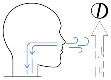 Eğitim, hava akışı mekanizması, solunum, anatomi çalışmaları, sağlık bilimi, nefes alma kavramları. Yukarı doğru giden hava akımı oklarını gösteren bir kafa profili. Eğitim ve hava akışı