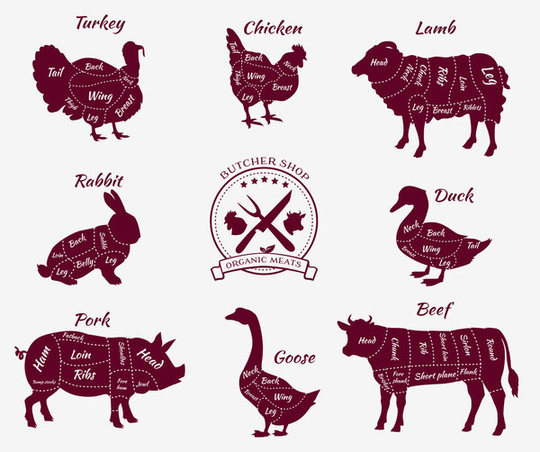 Set Schematic Vew of Animals for Butcher Shop