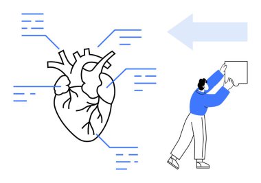 Tıbbî bilgiler. İnsan kalbi anatomisi etiketli elementler ve verileri yöneten bir kişi ile özetlenmiştir. Tıbbi bilgi aktarımı eğitim ve veri görselleştirmesi. Sağlık ve eğitim için
