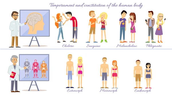 Zestaw Temperament ludzi i konstytucji ciała — Wektor stockowy