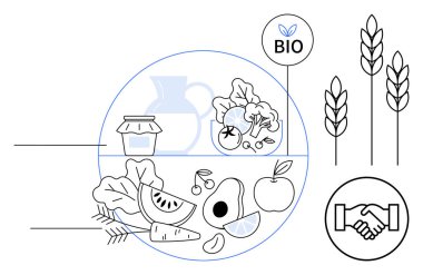 Organik gıda konsepti. Organik gıdalar taze meyve, sebze, tahıl ve sağlık ikonları içerir. Organik gıda çevre dostu tarım ve sürdürülebilirliği teşvik eder. Beslenme, eko-yaşam, tarım için