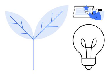 Sürdürülebilirlik, yenilik, akreditasyon, çevre dostu çözümler, yaratıcı düşünce, gelişme. Minimalist yaprak sembolü, ampul ve başarı sertifikası olan kişi. Sürdürülebilirlik