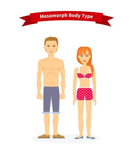 Mesomorph Body Type Woman and Man — Stockový vektor