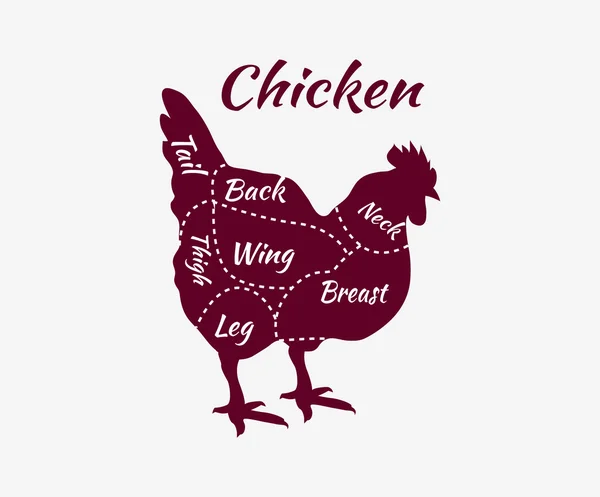 Diagrama tipográfico de cortes de carnicero de pollo — Archivo Imágenes Vectoriales