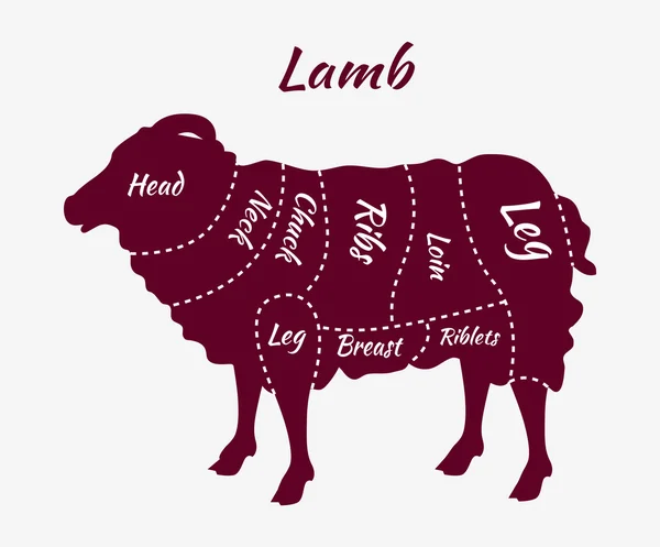 Cuts of Lamb or Mutton Diagram — Wektor stockowy