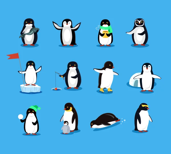 Set de Pinguin Animal Diseño Plano — Vector de stock