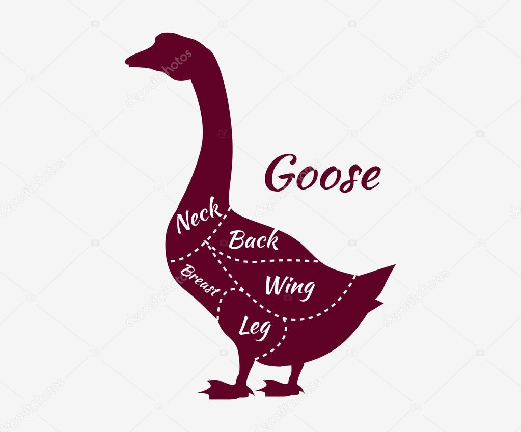 Typographic Goose Butcher Cuts Diagram