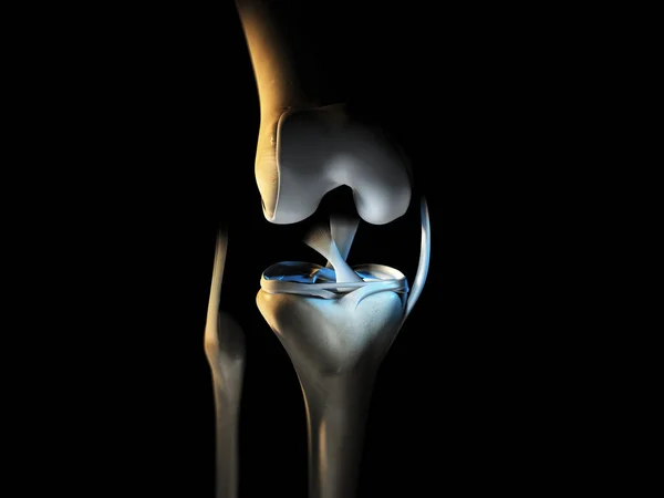 Ilustração Mostrando Articulação Joelho Com Ligamentos Menisco Cartilagem Articular Fíbula — Fotografia de Stock