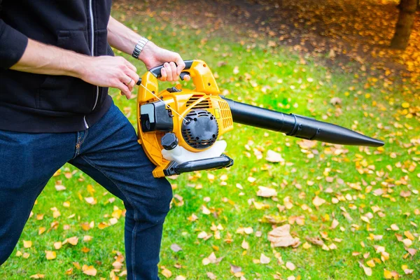 Using an orange cordless, electric leaf blower in a garden. Autumn, fall gardening works in a backyard, on a lawn, grass. Garden works. 