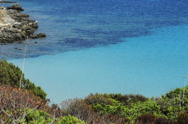 MAR CON VEGETACIÓN MEDITERRÁNEA — Foto de Stock