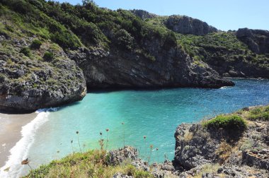 Deniz şeffaf güzel Creek