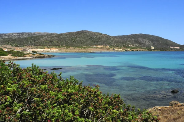 Národní Park Asinara "Ostrov" — Stock fotografie