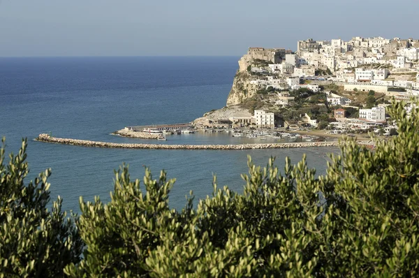 THE CITY OF PESCHICI — Stock Photo, Image