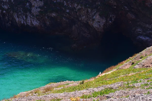 Na Wyspach Berlengas — Zdjęcie stockowe