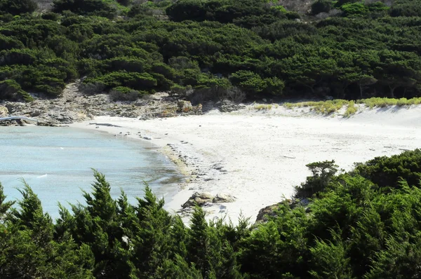 Wild Beach In Sardinië — Stockfoto