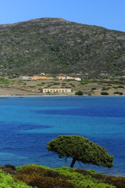 Sardunya Plajı'na görüntülemek