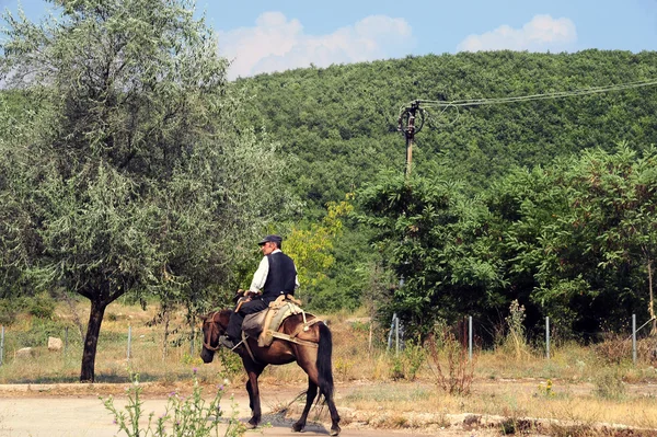 Man rijden op een bruin paard — Stockfoto