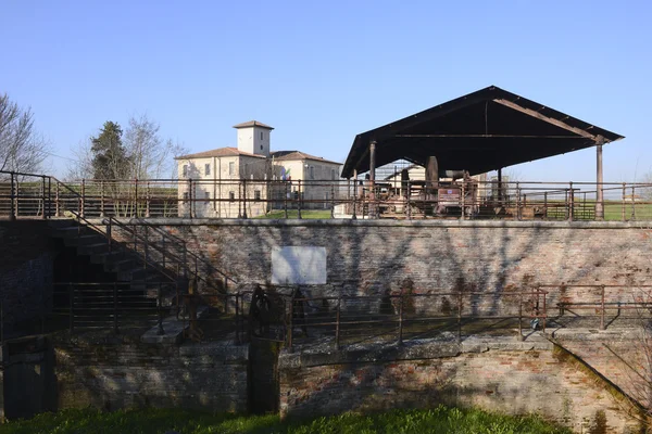 Mincio natuurpark — Stockfoto