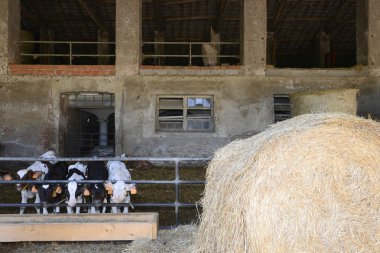 Mincio Tabiat Parkı