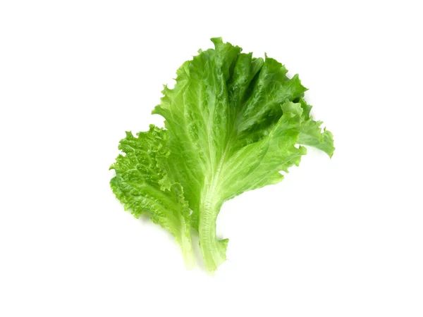 Lechuga sobre fondo blanco — Foto de Stock