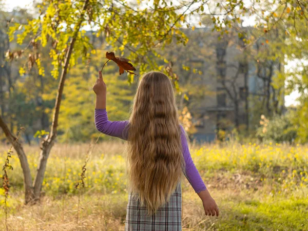 Menina Bonita Com Cabelo Loiro Longo Mantém Folhas Amarelas Fundo — Fotografia de Stock