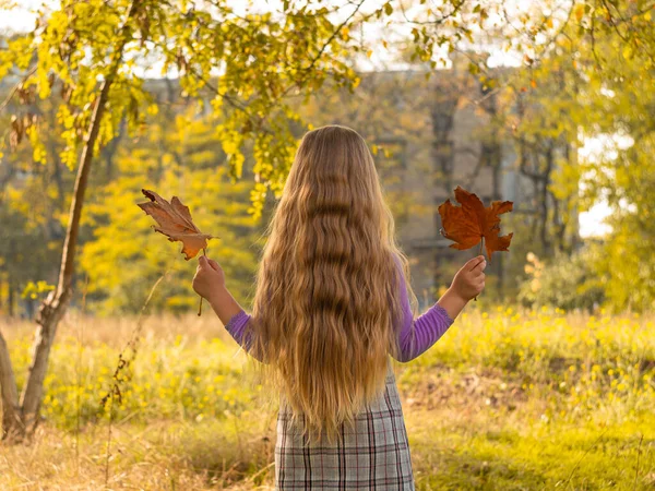 Beautiful Girl Long Blonde Hair Holds Yellow Leaves Nature Background — Stock Photo, Image
