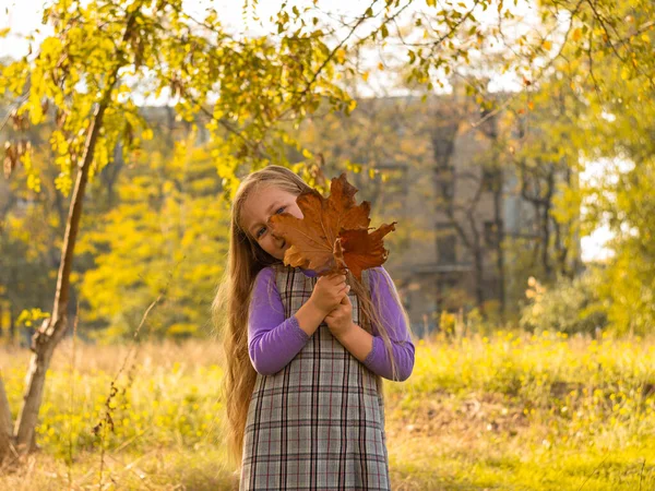 長いブロンドの髪の美しい女の子は 自然の背景に黄色の葉を保持しています 晴れた日には屋外の秋の公園で笑顔の子供が遊ぶ かわいい幸せな子供で遊んで夢を見るだけで — ストック写真
