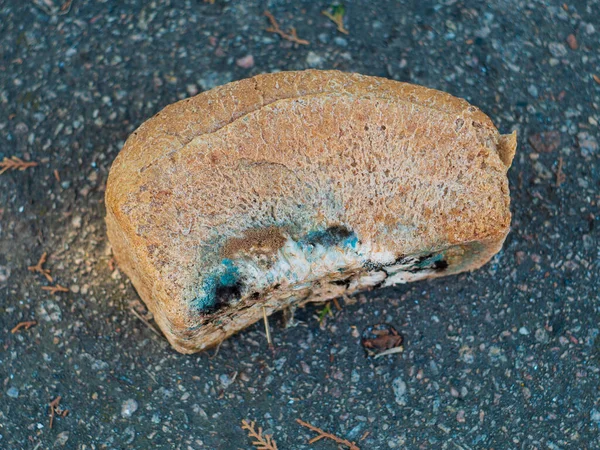 Pan Viejo Con Moho Colorido Sobre Fondo Asfalto Desperdicio Comida —  Fotos de Stock