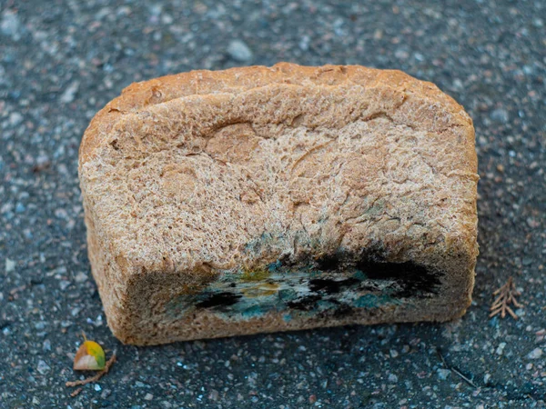 Altes Brot Mit Buntem Schimmel Auf Asphaltgrund Verdorbene Hässliche Lebensmittelverschwendung — Stockfoto