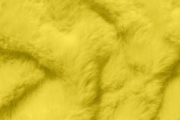 Texture Fourrure Aux Couleurs Année 2021 Illuminant Jaune Gris Ultime — Photo