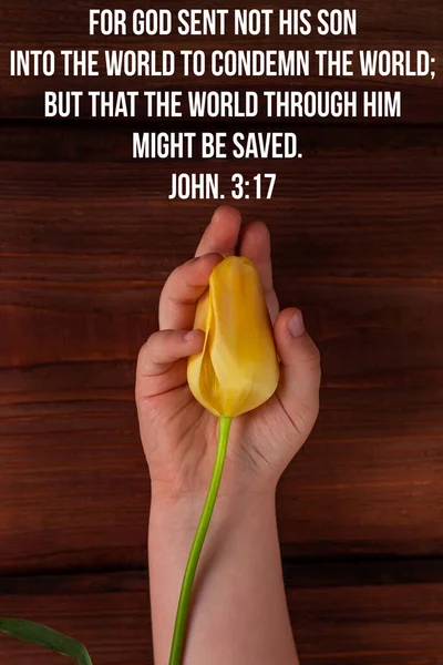 Bible quotes for believers. Inspirational Christian verse Child's hands hold yellow tulip flower. Love, people care faith donations charity, grace support welfare concept. Giving tuesday greeting card