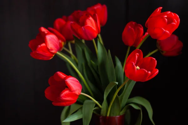 Incrível Florescendo Buquê Tulipas Vermelhas Fundo Preto Moody Escuro Baixo — Fotografia de Stock